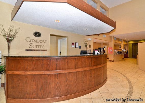 Comfort Suites נאקוגדוצ'ז מראה פנימי תמונה